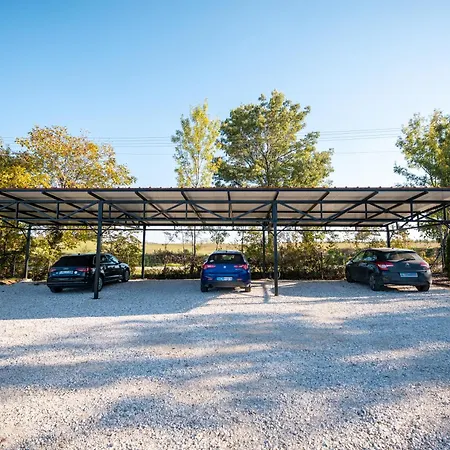 Alegria - Serbia, * Topola