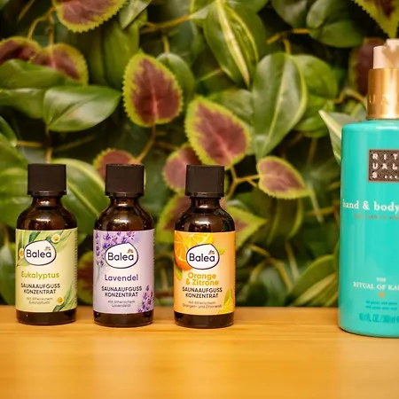 Villa Alegria - Serbia, Topola